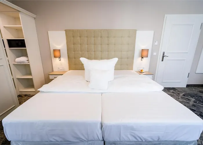 Bad Neustadt Otel 4*
